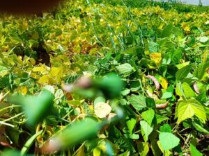 IMG_20230924_120237_906