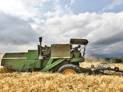 آمادگی استان فارس برای فصل برداشت و خرید تضمینی گندم