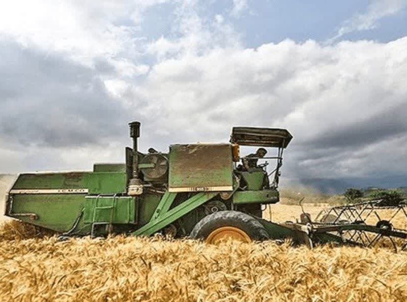 آمادگی استان فارس برای فصل برداشت و خرید تضمینی گندم