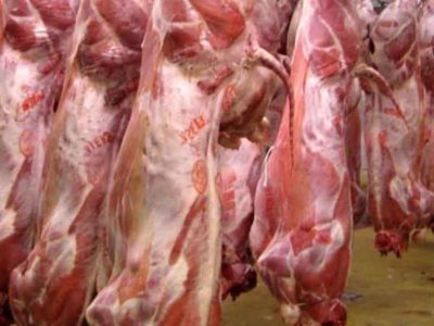 تولید ۷۲ هزار تن گوشت قرمز در فارس