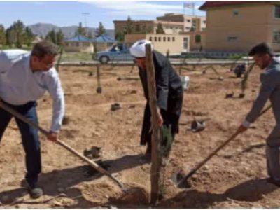رویش حماسه در خاک شهیدپرور؛ کاشتِ نهال امید به نام جاودان شهیدان در دانشگاه آزاد اسلامی آباده