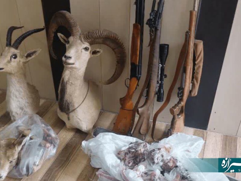 دستگیری شکارچی متخلف در آباده