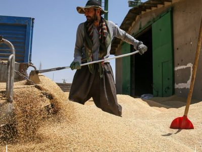 واریز بخشی از مطالبات گندم‌کاران