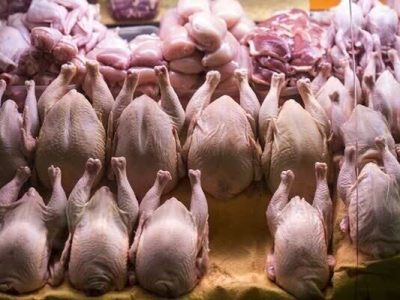 ذخیره‌سازی ۲۶۱۶ تن گوشت مرغ برای تنظیم بازار فارس