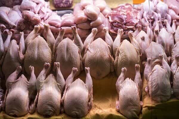 ذخیره‌سازی ۲۶۱۶ تن گوشت مرغ برای تنظیم بازار فارس