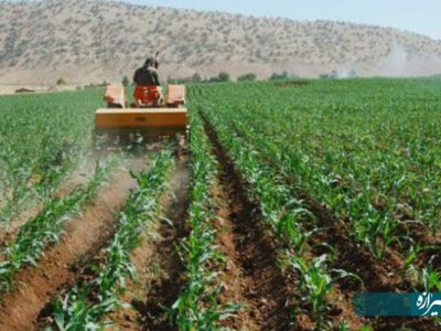 پیش‌بینی برداشت ۱۱۵ هزارتن ذرت علوفه در آباده