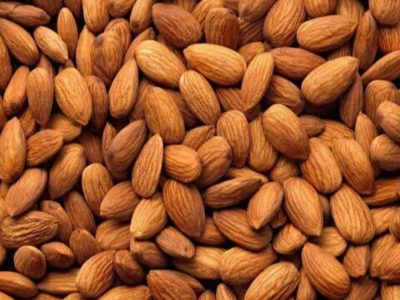 رتبه نخست فارس در سطح زیر کشت بادام
